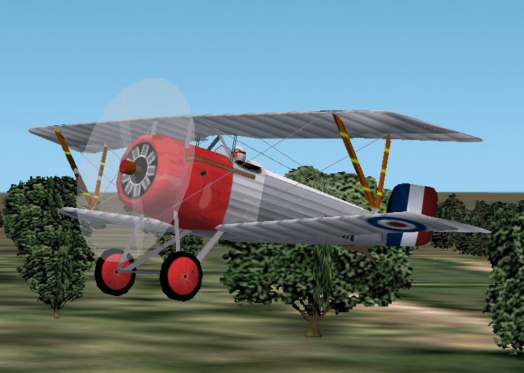 CFS1, CFS2, FS2002 Nieuport 19bis Trainer, 1917