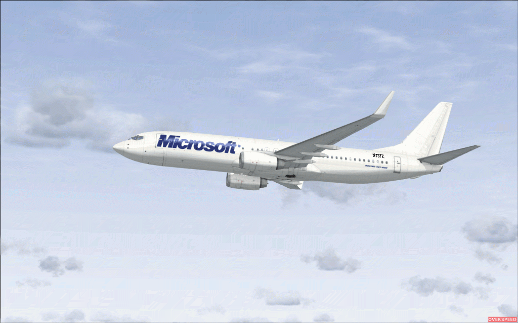 FSX Microsoft Boeing 737-800 Texture - Flight Simulator Addon / Mod